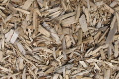 biomass boilers Parcllyn