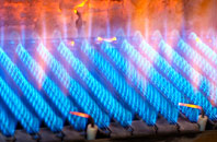 Parcllyn gas fired boilers